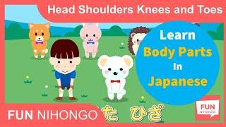 Learn how to say body parts in Japanese - Head Sholders Knees and Toes in Japanese