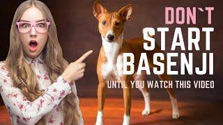 BASENJI - ALL TRUTH ABOUT BASENJI DOG BREED - WHY YOU CAN NOT START DASENJI