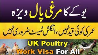 UK Murgi Pal Visa | No IETLS No Age Limit | Minimum Bank Statement | Only 298 Pound Visa Fee #uk