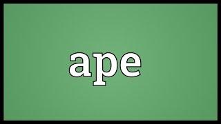 Ape Meaning