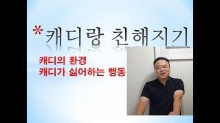 캐디랑 친해지기 1부- 캐디가 싫어하는것 -말로버디