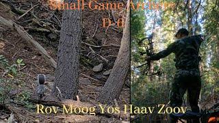 Back Out Into The Woods | Archery  Hunting D-6 Rov Moog Yos Haav Zoov