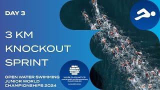 Men & Women 3km Knockout Sprint | World Aquatics Open Water Swimming Junior World Championships 2024