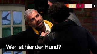 REVIERMARKIERUNG von Rafi bei Umut | Das Sommerhaus der Stars