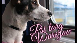 Vlog z Warszawy #podróżnicy