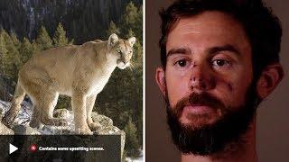 Runner Chokes Mountain Lion to Death (Gracie Breakdown)