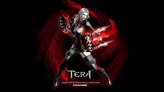 Tera Online. Крушитель (Гайд). Основы класса