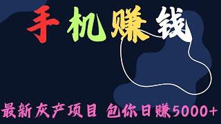 灰产 手机赚钱灰产项目 最新手机赚钱灰产网赚项目 包你每天收入5000+的手机赚钱灰产上岸项目 非跑分平台（老鬼聊灰产）