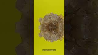 Aragonite vs. Calcite: What’s the Difference?