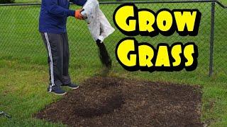 (Ep.6) Fixing Bare Spots in My Lawn  DIY Steps for Fast, Full Grass Growth That Actually Works!