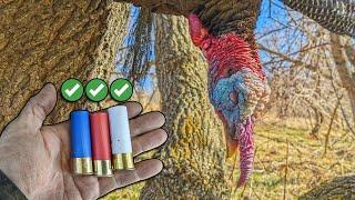 Last Tag Filled - Turkey Hunting Merriam's Gobblers