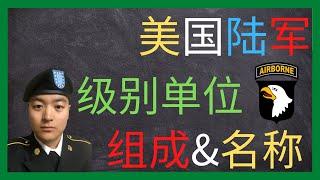 美国陆军 | 美国陆军各级别单位都是如何组成的？ | 军师旅团营连排组的名称