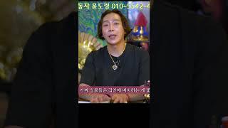 가짜꽃에는 귀신이 앉는다. / 구슬동자 윤도령 010-5542-4236