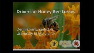 Drivers of Honey Bee Losses, Bay Fruit Meeting 2019