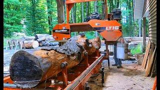 What is this wood on my sawmill?