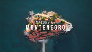 Nature of Montenegro. Drone | FPV film, 4K