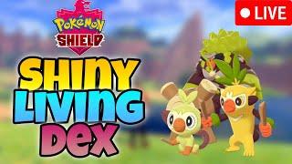 Shiny Hunting the Entire Pokémon Shield Dex from Start to Finish Pokemon 