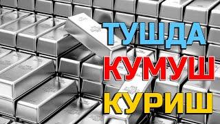 Туш табири - Тушда Кумуш куриш