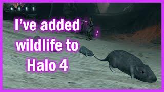 I've added wildlife to Halo 4