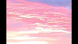 WOS - PURPLE