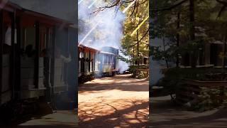 Yosemite Mountain Sugar Pine Railroad ️ #shorts #yosemite #railroad