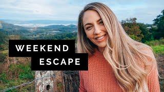 How to ACTUALLY enjoy 2 Days in MALENY  Sunshine Coast Hinterland