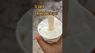 oh  no! is curd good for you?#shortsfeed #shortsvideo #indianfood #food
