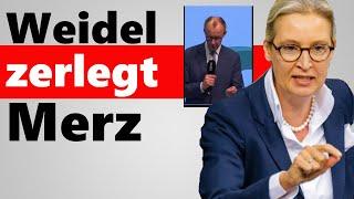 Merz lässt Bombe platzen | Er richtet heimliche Botschaft an alle Unions-Wähler!