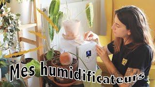 Je vous dis tout sur mes humidificateurs !