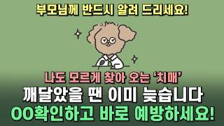 치매 검사 등 무료 지원 받고 미리 예방하세요! 치매안심센터 지원내용, 지원대상 등 완벽 총정리!