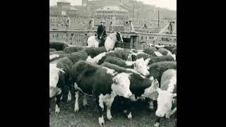 Fort Worth Stockyards History