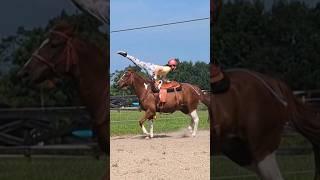 Felix's first handsfree trick!#equestrian #horse #trickriding  #fypシ゚ #subscribe #viralshort