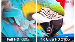 Corning Trip Reports: UHD TV delivers enhanced picture quality