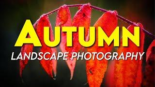 Fall Color Photography and polarizer filter demonstration