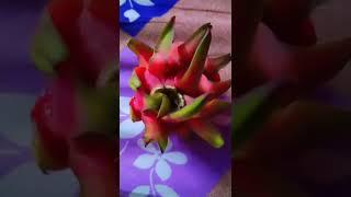 #trendingshorts #shipra, s creation #vairalvideo #dragonfurits
