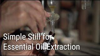Using a Simple Still for Home Extraction of Essential Oils