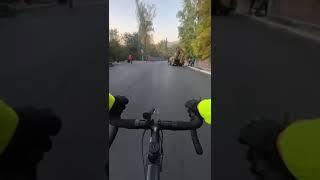 #опасная #езда #на #велосипеде #внимание #не #нарушайте #правила
