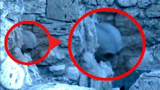 10 REAL Aliens Caught on Tape ! The Best Alien Videos !