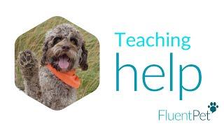 Teaching HELP | FluentPet Buttons