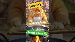 Bruno kocht gefüllte Teigtaschen – Lecker & selbstgemacht! #rezept #katze #sweet