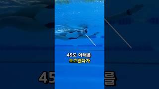 의외로 초보자들이 모르는 자유형 호흡 연습