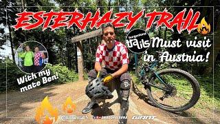 ESTERHAZY TRAIL | Ben Zib is back! | Drago Palavra