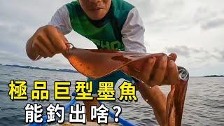 一桶極品大墨魚不留著吃，扔進海裏當魚餌，釣出的東西嚇我一跳