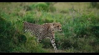 Travel with the best | Zara Tanzania Adventure