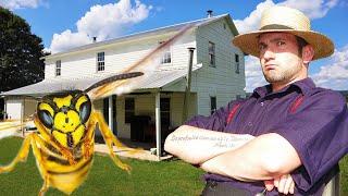 AMISH House With A MASSIVE Yellow Jacket INFESTATION! | Wasp Nest Removal