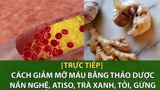 [Trực tiếp] Cách giảm mỡ máu bằng thảo dược nần nghệ, atiso, trà xanh, tỏi, gừng | VTC16