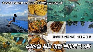  세부 맛집 찾는다면 여기‼️ 세부 여행 브이로그 l 탐불리리조트 l 호핑투어 l 레드크랩 l 추비추비 l 아얄라몰 l 골드망고그릴 l 맛집 추천