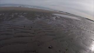Beach Metal Detecting New England Beaches