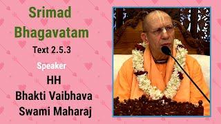 Srimad Bhagavatam Text 2.5.3 - Speaker - HH Bhakti Vaibhava Swami Maharaj