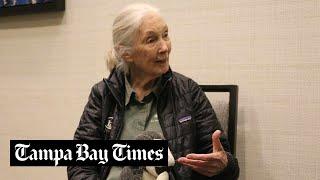 Jane Goodall to Florida kids fighting for nature: ‘Give it everything you’ve got’